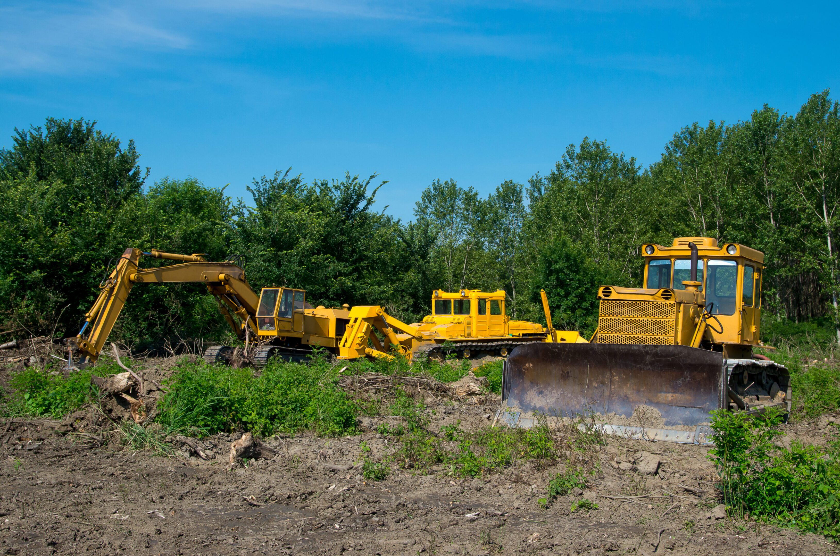 Yellow construction vehicles in a forest clearing.