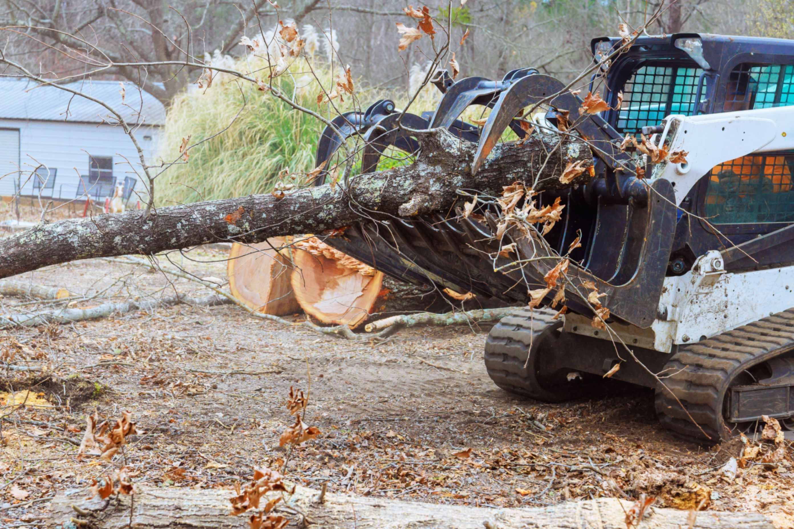 Bulldozer moving a large fallen tree.